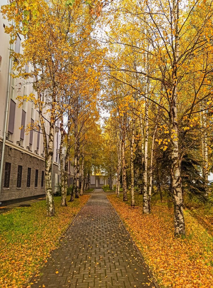 Photograph by Ольга Ситникова