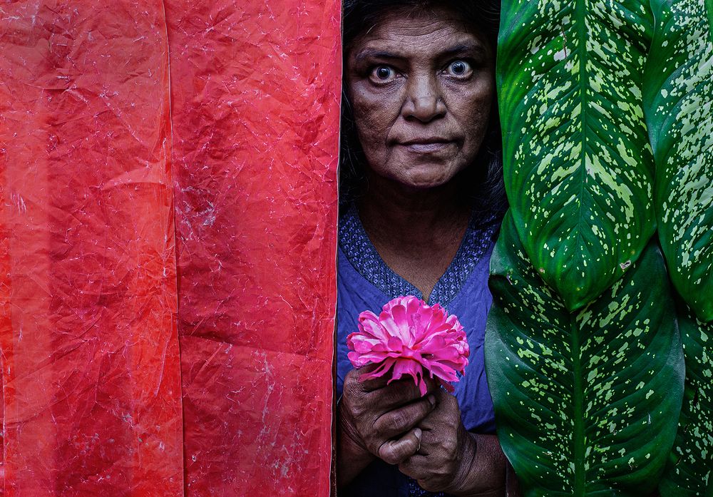 Фотография автора Laddu Sasindu Pramuditha De Silva