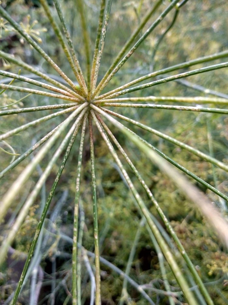 Photograph by Марина Мишина