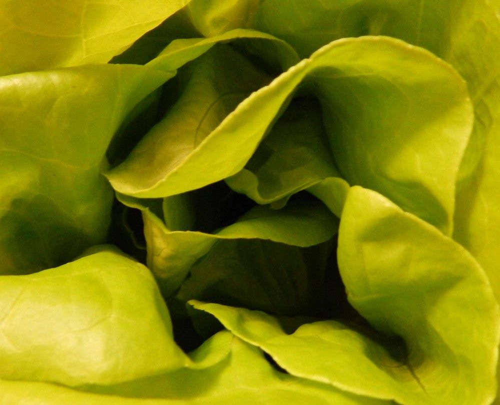 Photograph by Ирина Самойленко