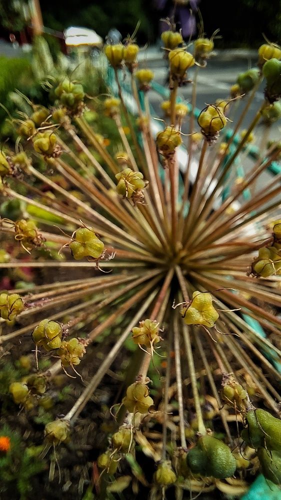 Фотография автора Евгения Зайцева