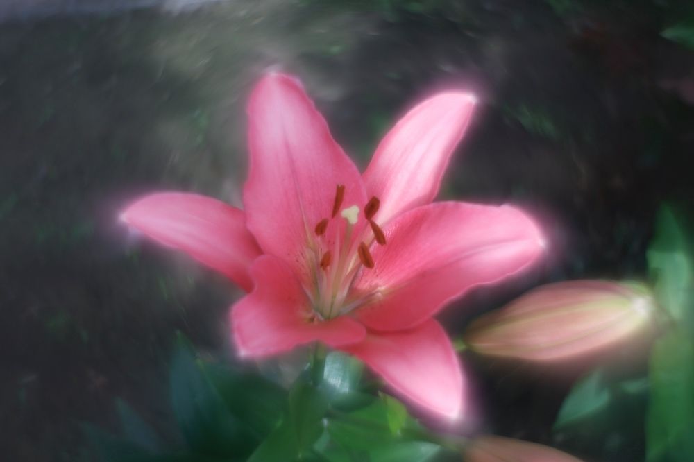 Photograph by Yana Egorova