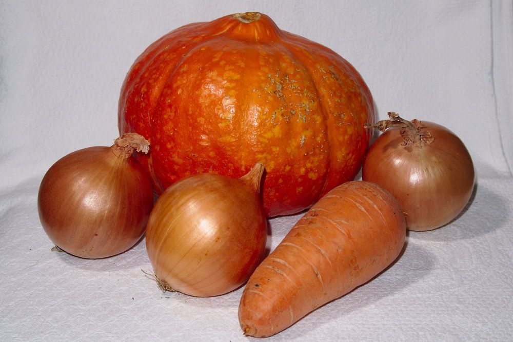 Огненная тыква / Fire gourd