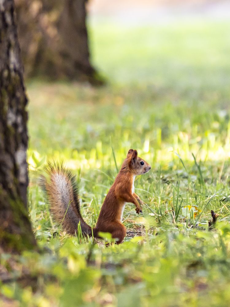 Фотография автора Евгений Величко