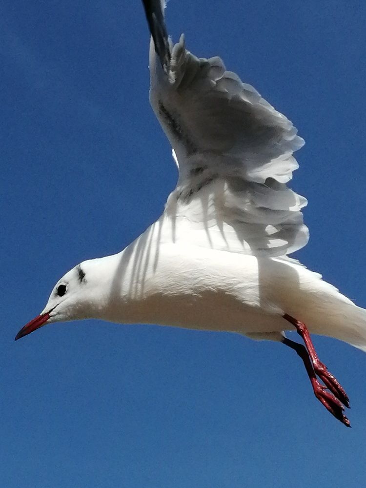 Photograph by Галина Смирнова