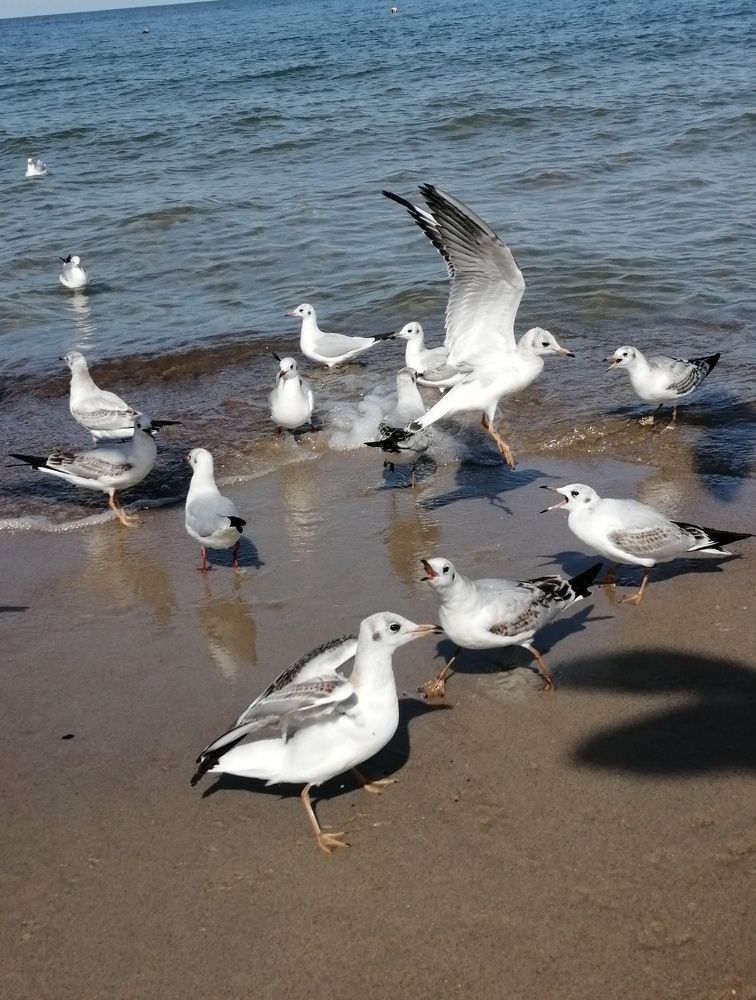 Photograph by Галина Смирнова