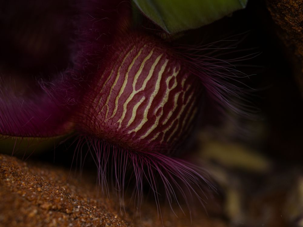 Photograph by Alena Vaganova