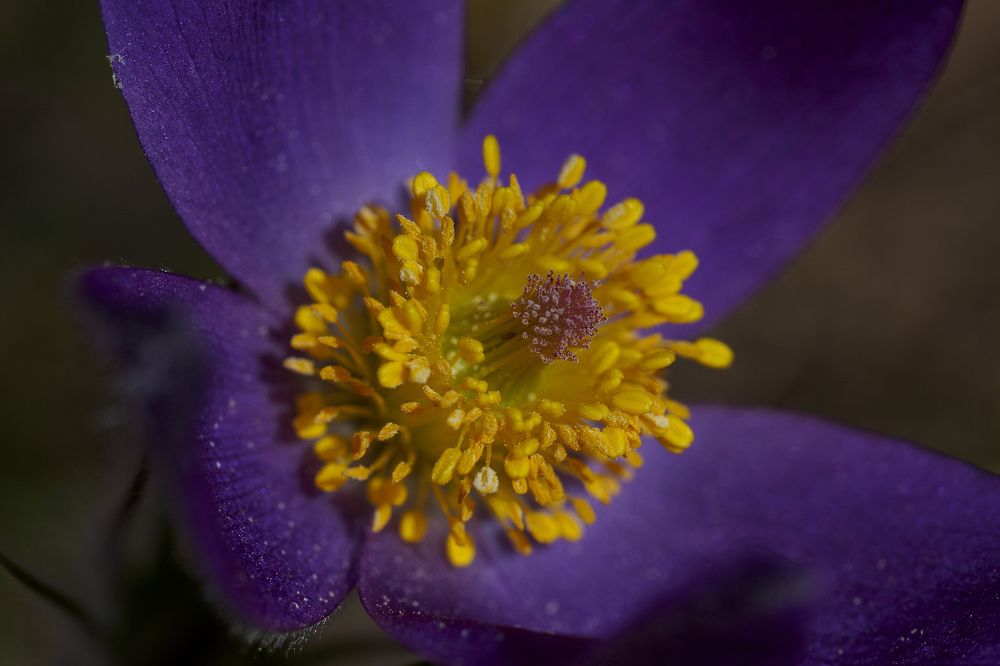 Photograph by Азат Кадиров