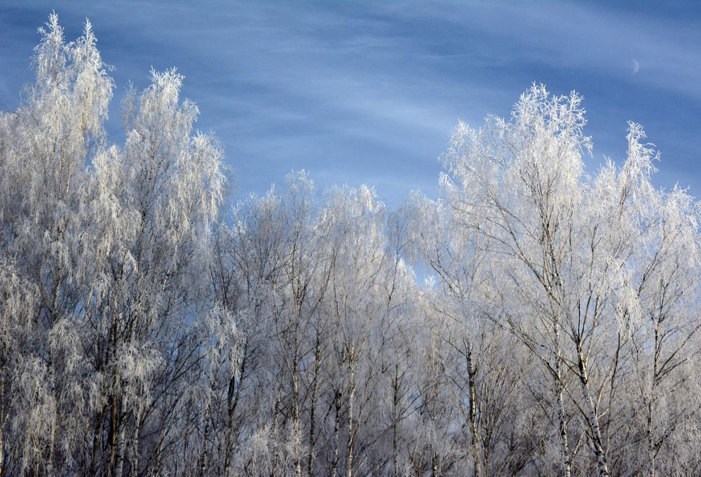 Landscape with the Moon