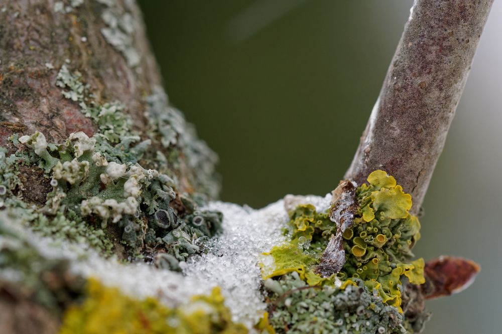 Photograph by Пётр Калачев