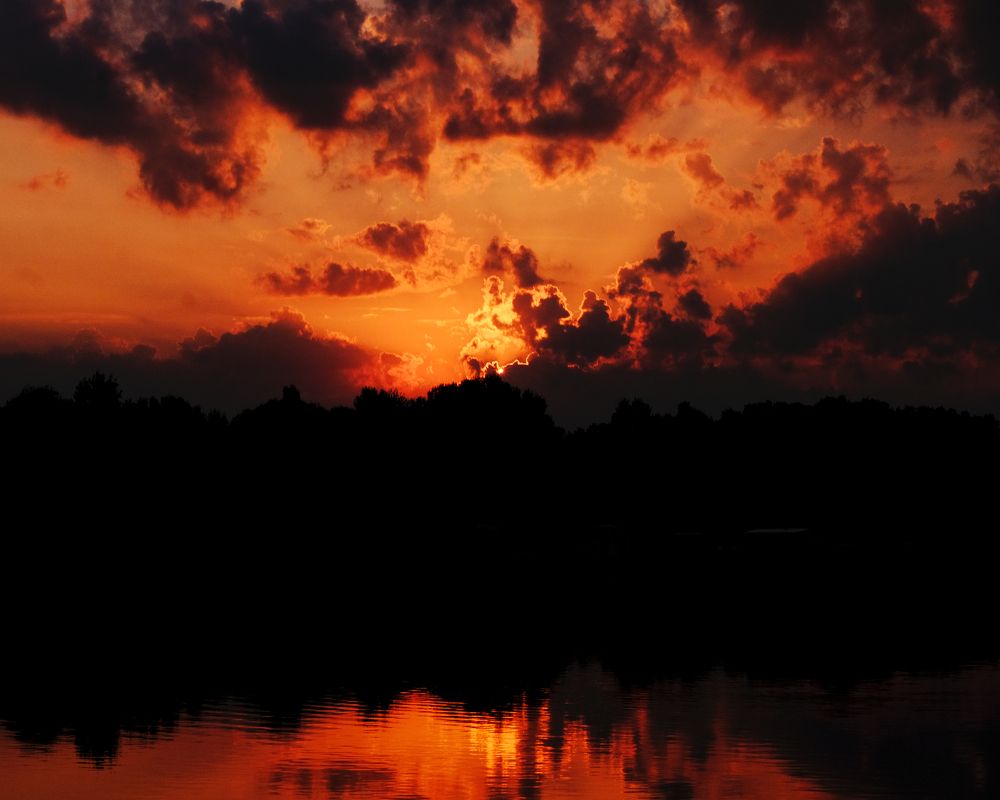 Photograph by Евгения/303284