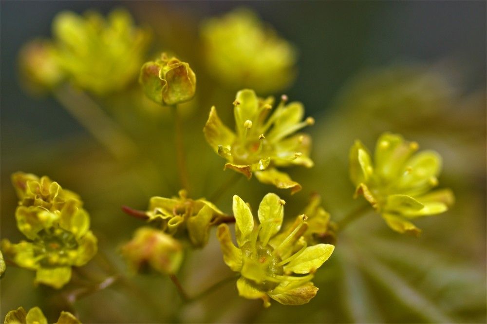 Photograph by Марина Моссий