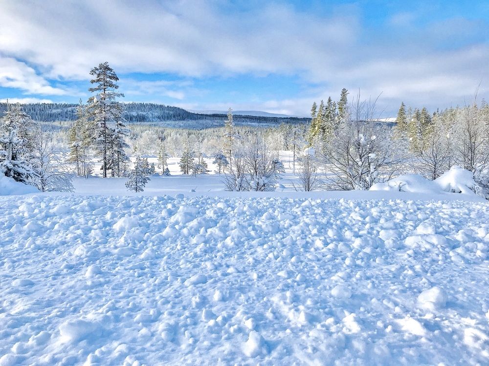 Photograph by Janina Segeda