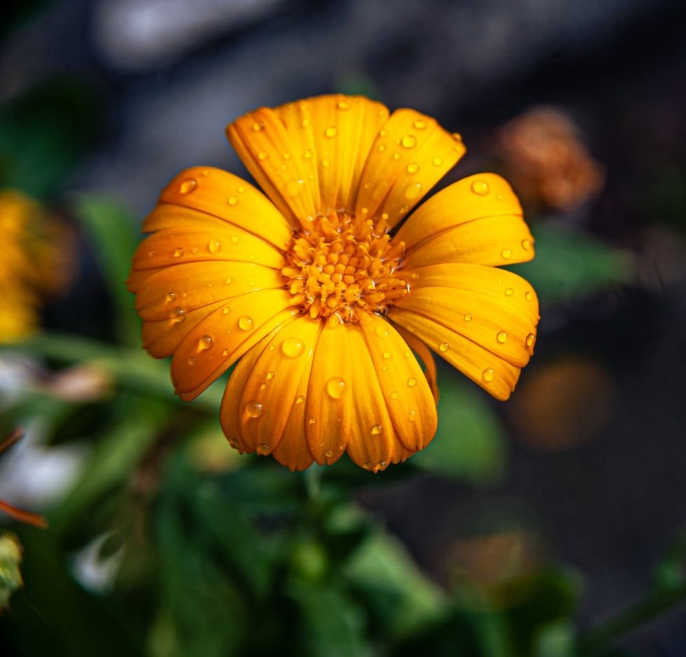 Photograph by Алексей Патрушев