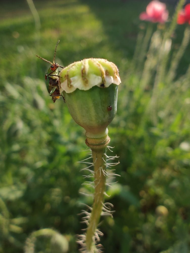 Photograph by Julião Freitas Martinez