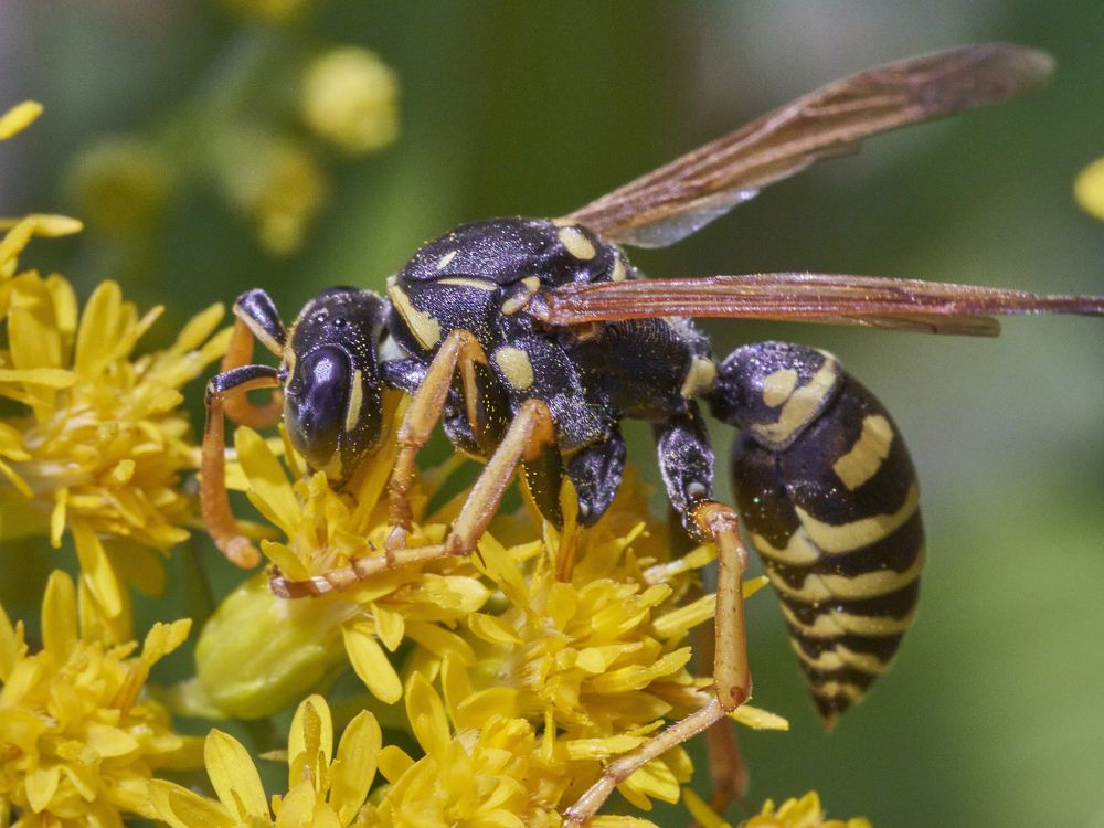 Photograph by Игорь Зиновьев