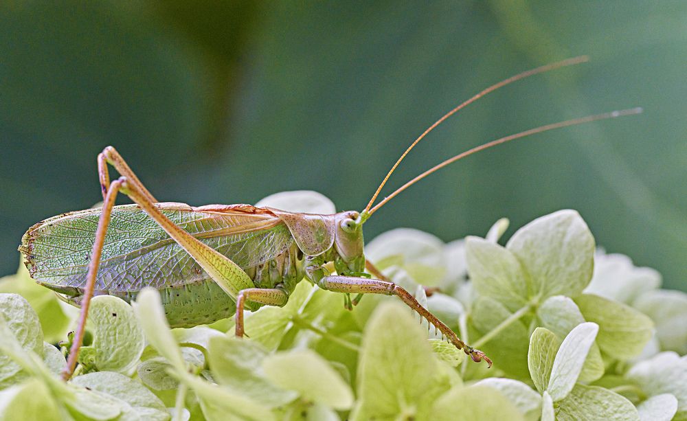 Photograph by Игорь Зиновьев