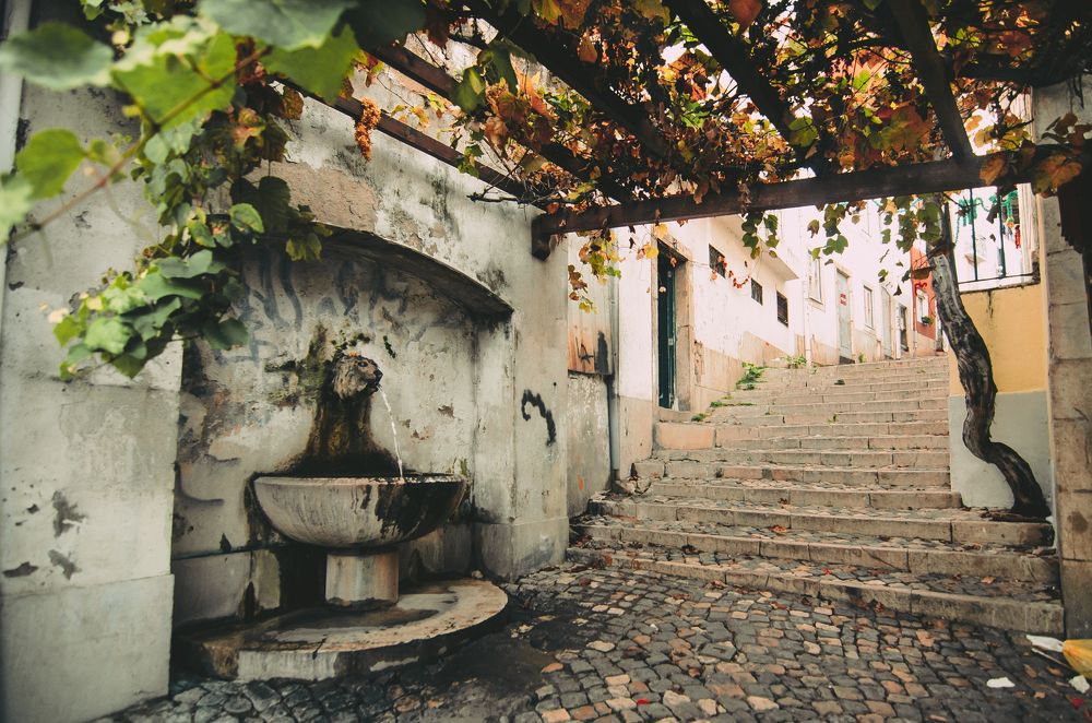 Фотография автора Земскова Дарья