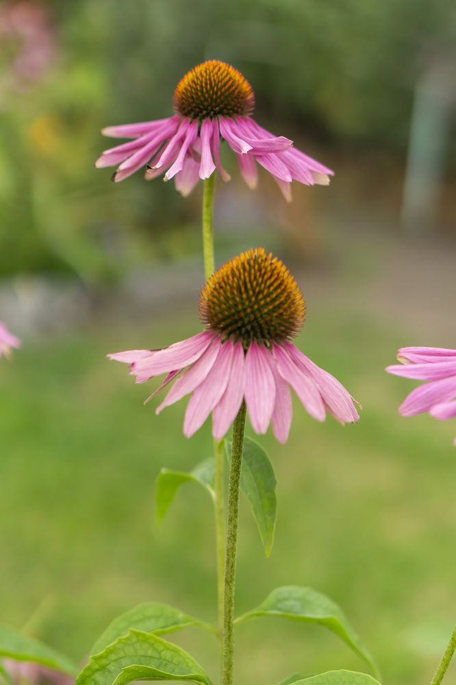 Photograph by Александр Пургин