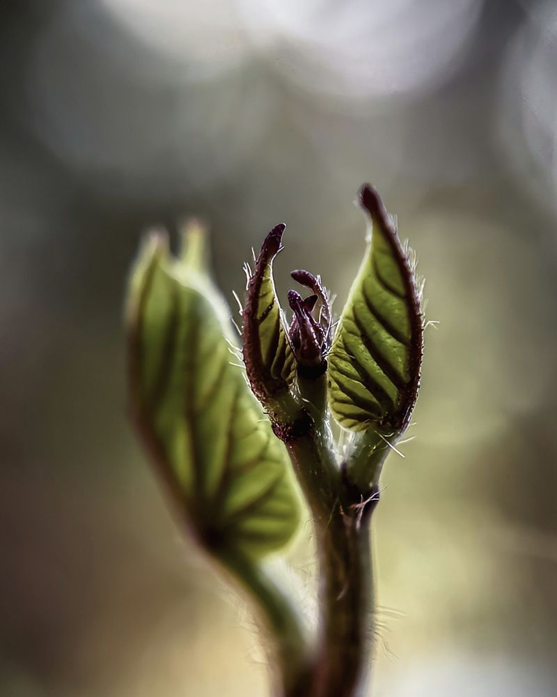 Photograph by Aaron R S