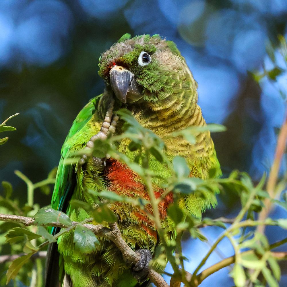 Photograph by Sâmia Munaretti