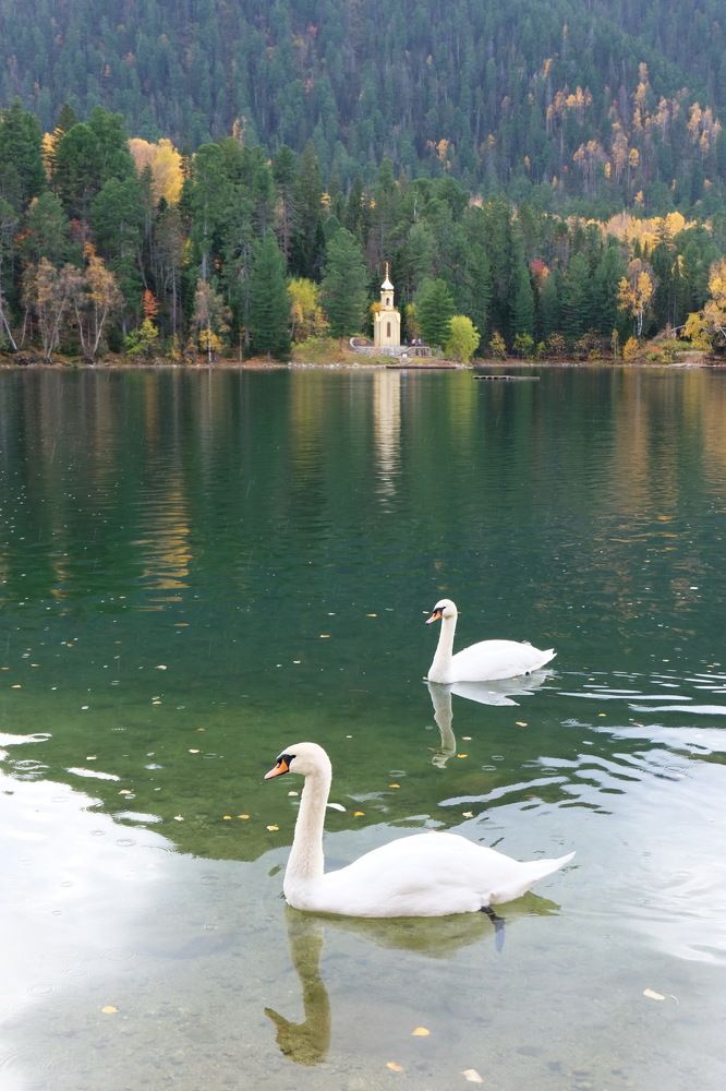 Фотография автора Андрей Ильков