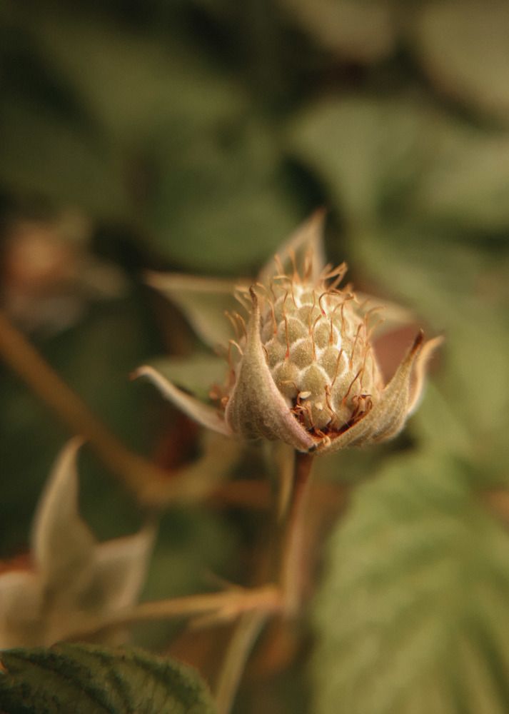 Photograph by Алия Латыйпова