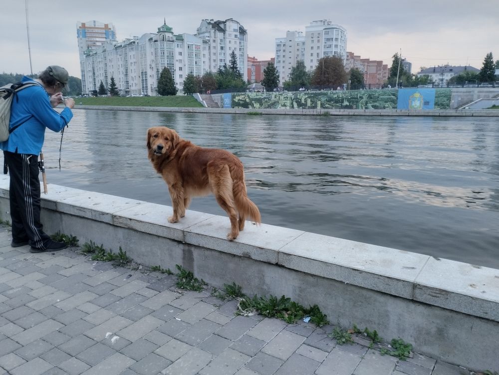 Photograph by Надежда Болтунова