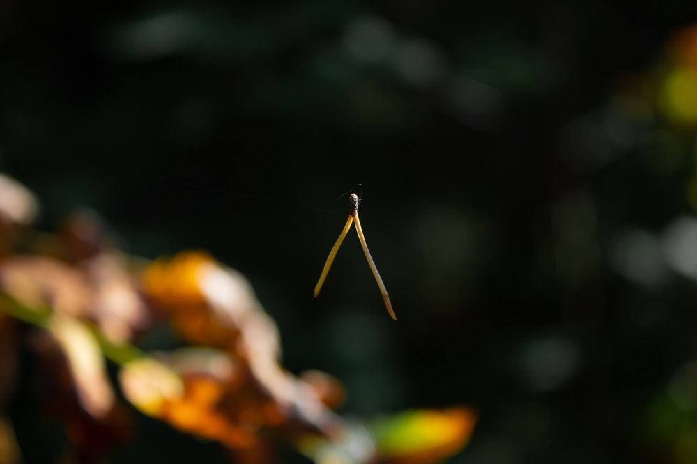 Photograph by Иван Озорнин