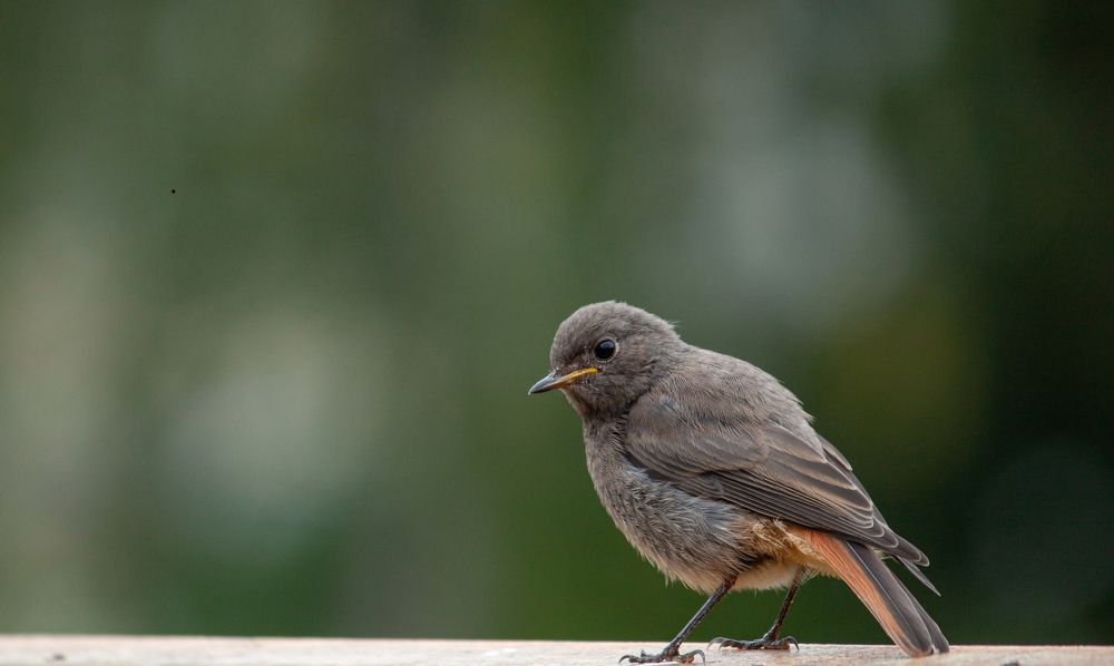 Photograph by Владислав Капанов