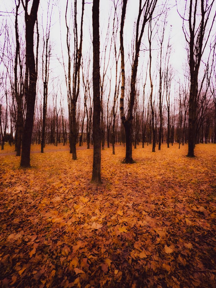 Photograph by Евгения/303284