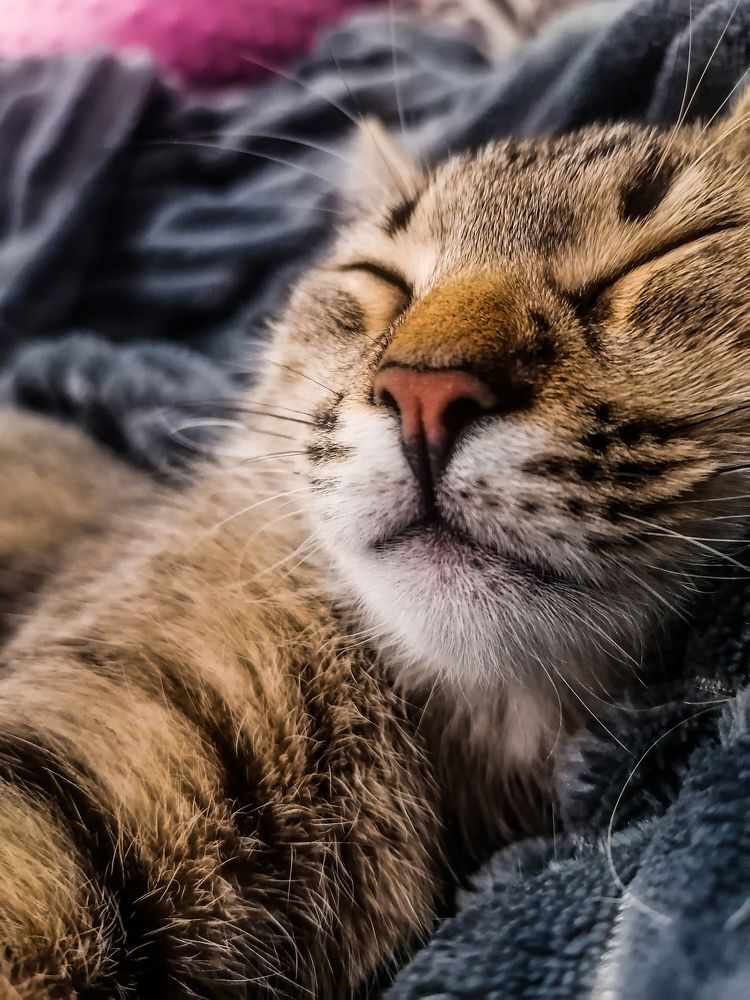 Photograph by Станислав Евсеев