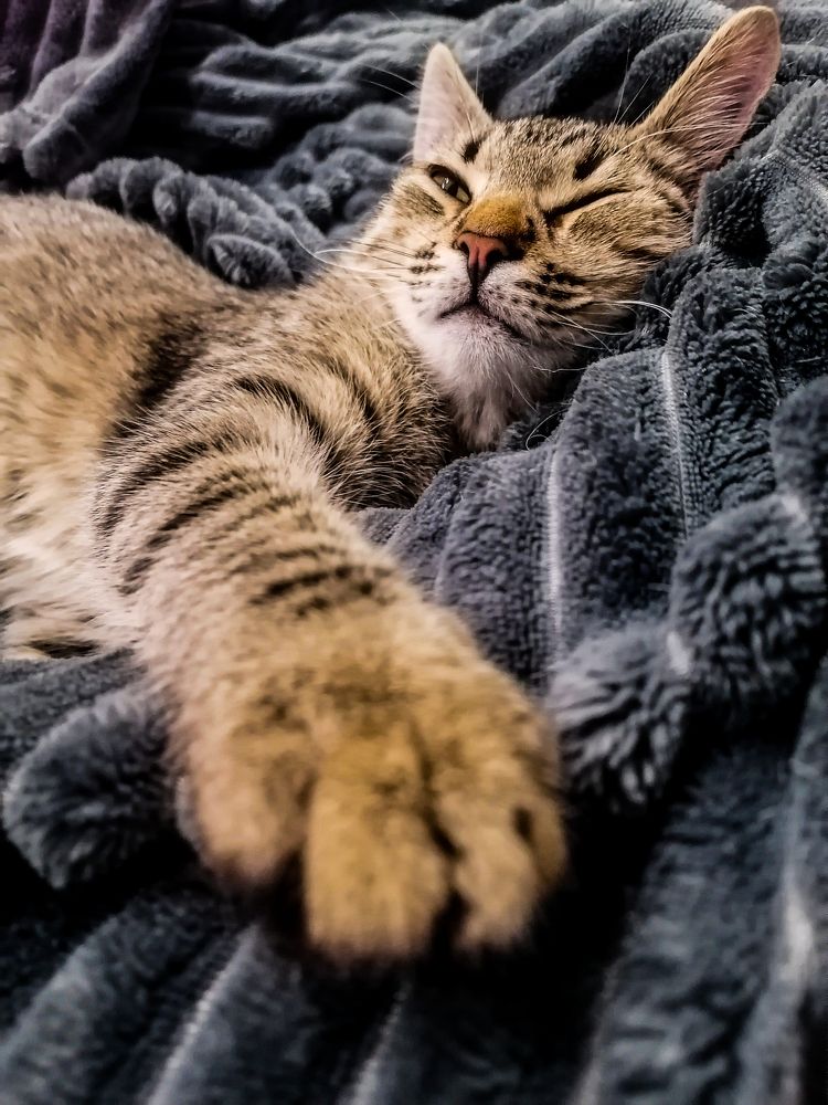 Photograph by Станислав Евсеев