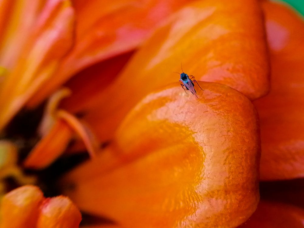 Photograph by Станислав Евсеев