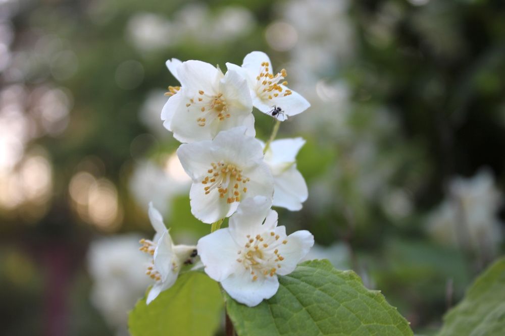 Photograph by Olga Bagaeva