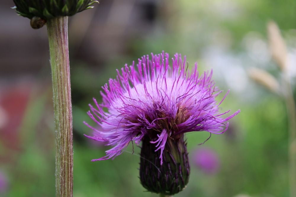 Photograph by Olga Bagaeva