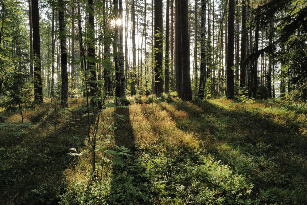 Photograph by Ренат Абушаев