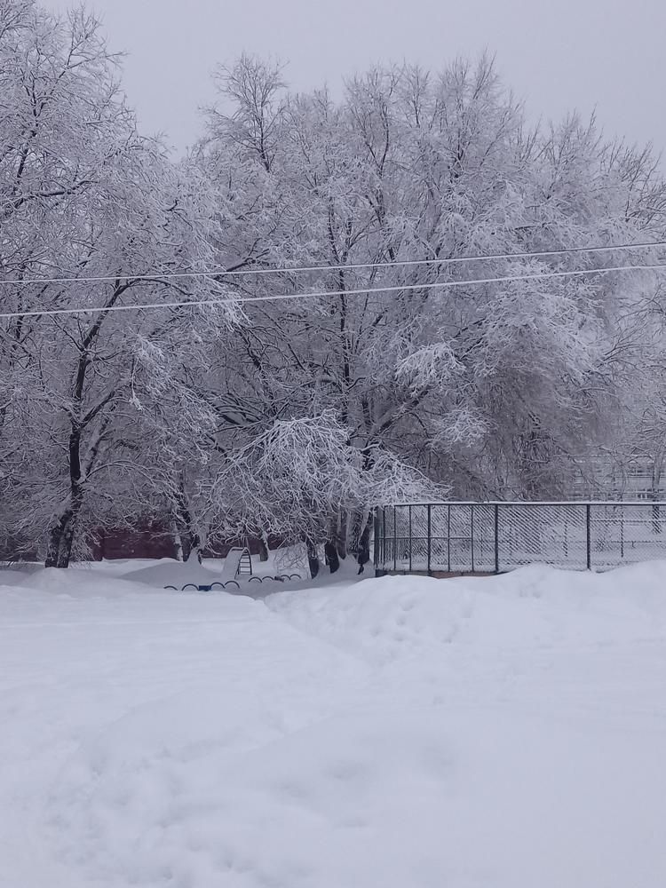 Photograph by Елизавета Мишина