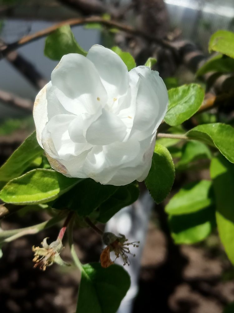 Photograph by Елизавета Мишина