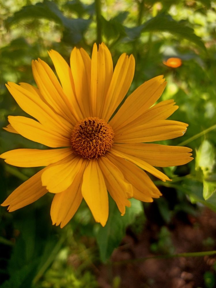 Photograph by Елизавета Мишина