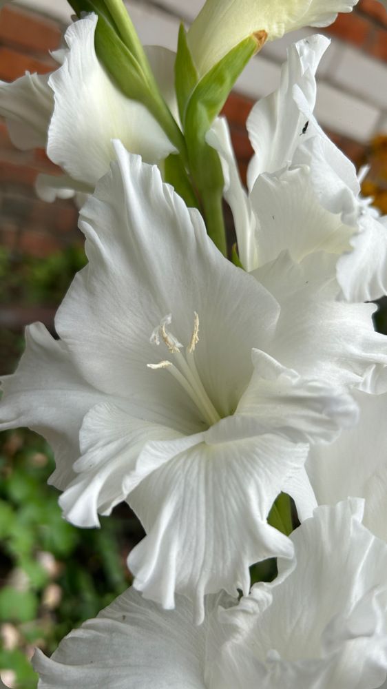 Photograph by Елена Гущина