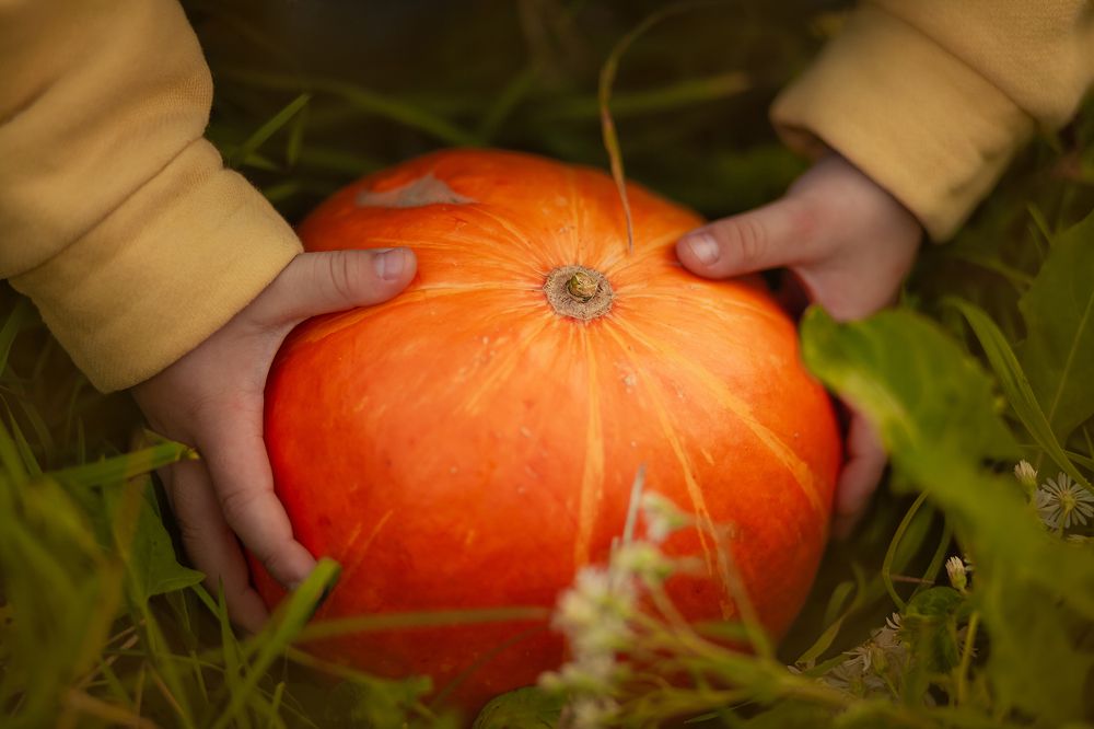 Фотография автора Ольга Седых