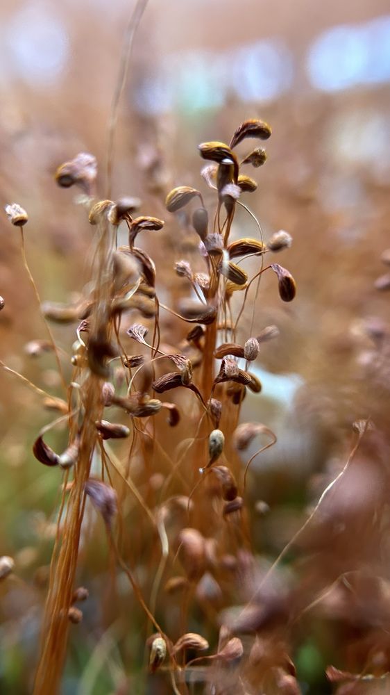 Photograph by Елена Гущина