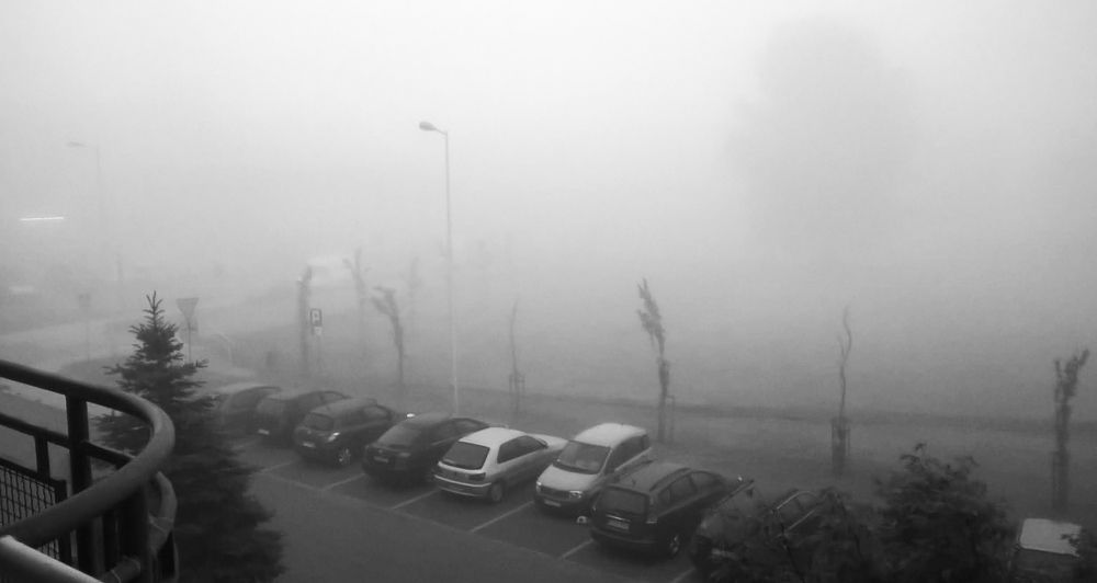 Photograph by Егор Ходаркевич