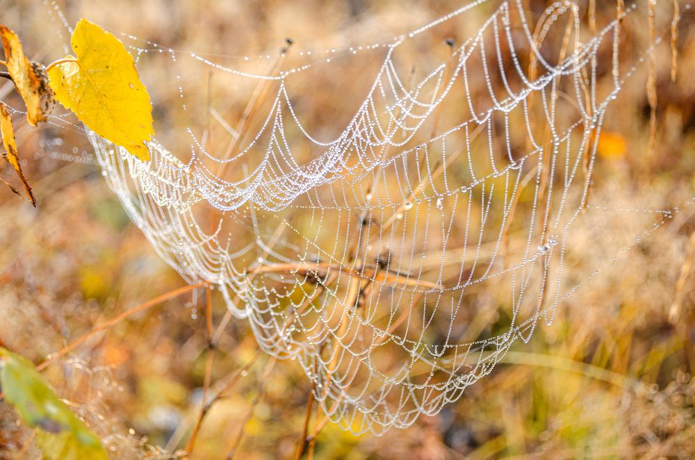 Photograph by Любовь Бусова