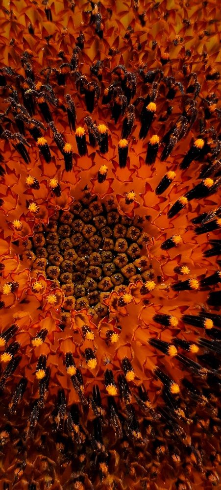 Photograph by Sonia Crotta