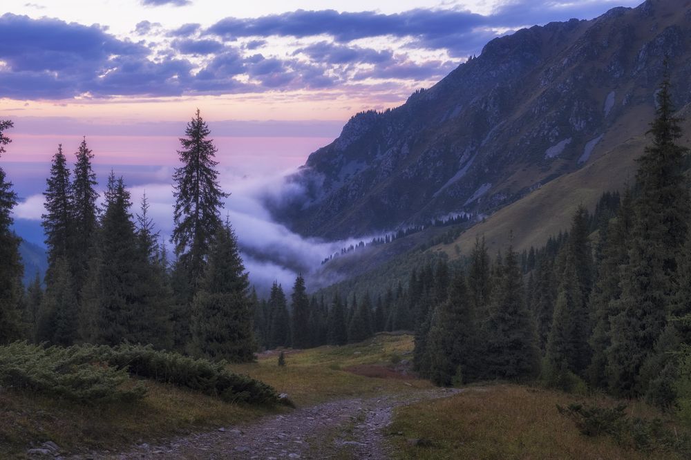 Photograph by Светлана Краюшкина