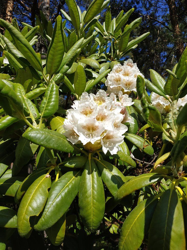 Photograph by Вероника