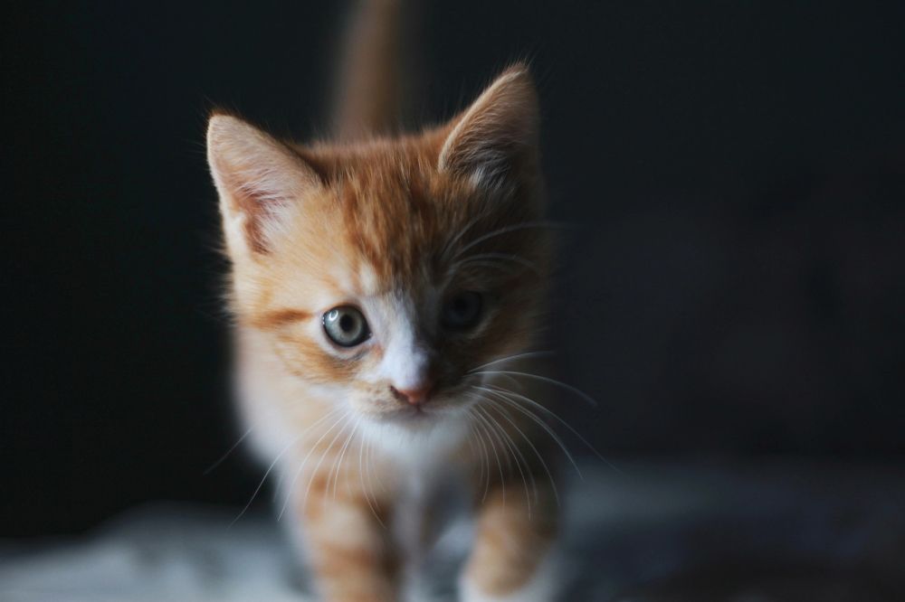 Photograph by Марина Сергеевна