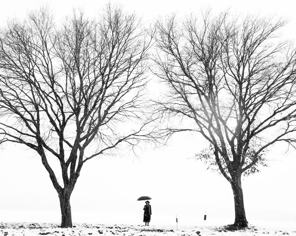 Photograph by Алина Шевченко